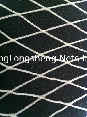 Deep Sea Fish Landing Nylon Yarn Multifilament Fishing Nets For Fish Catching